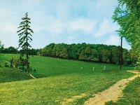 Park-šuma Cmrok, poljana  Postoji i druga verzija nastanka imena; naime, tamo je nekada postojala gostionica koju je držao stanoviti gospodin Rok, poznatiji pod nadimkom Bajs (gospodin je svirao instrument bajs pa se za tu gostionicu govorilo i Kod Bajsa, op. ur.). Kako su se ondašnja gospoda voljela hvaliti poznavanjem njemačkog jezika, prilikom odlaska u tu gostionicu govorili su: „idemo zum Rok“. I tako je vremenom iz “zum Rok” iskrivljavanjem prešlo u Cmrok.